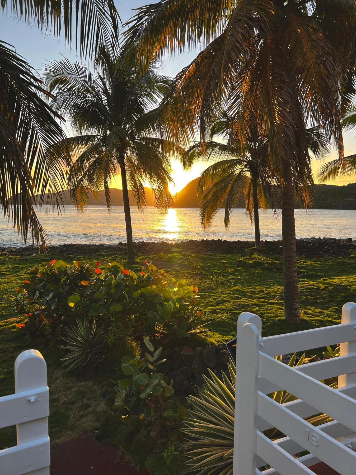 Bungalow Sucrier, Les Pieds Dans L'Eau Terre-De-Haut Exterior foto